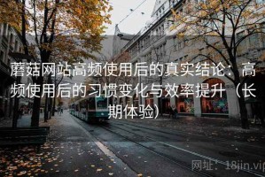蘑菇网站高频使用后的真实结论：高频使用后的习惯变化与效率提升（长期体验）