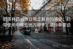 把茶杯狐当作日常工具后的感受：日常使用中哪些地方顺手，哪些需要适应