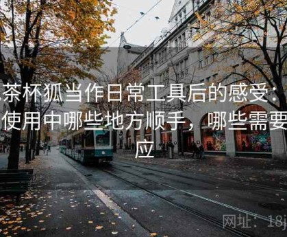 把茶杯狐当作日常工具后的感受：日常使用中哪些地方顺手，哪些需要适应