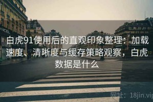 白虎91使用后的直观印象整理：加载速度、清晰度与缓存策略观察，白虎数据是什么