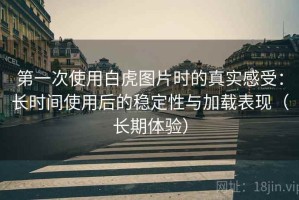 第一次使用白虎图片时的真实感受：长时间使用后的稳定性与加载表现（长期体验）
