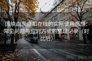 围绕白虎自扣在线的实际使用感想：常见问题与应对方式的整理记录（对比后）