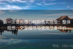 第一次使用糖心时的真实感受：整体观感、交互细节与使用节奏评价