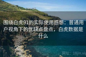围绕白虎91的实际使用感想：普通用户视角下的优缺点盘点，白虎数据是什么