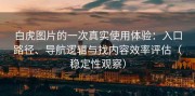 白虎图片的一次真实使用体验：入口路径、导航逻辑与找内容效率评估（稳定性观察）
