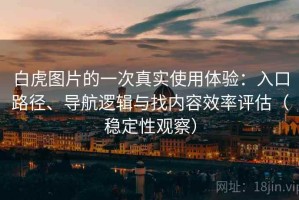 白虎图片的一次真实使用体验：入口路径、导航逻辑与找内容效率评估（稳定性观察）