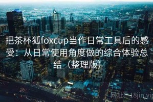 把茶杯狐foxcup当作日常工具后的感受：从日常使用角度做的综合体验总结（整理版）