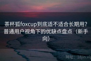 茶杯狐foxcup到底适不适合长期用？普通用户视角下的优缺点盘点（新手向）