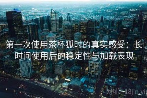 第一次使用茶杯狐时的真实感受：长时间使用后的稳定性与加载表现