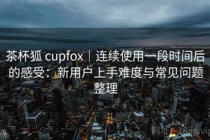茶杯狐 cupfox｜连续使用一段时间后的感受：新用户上手难度与常见问题整理