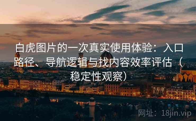 白虎图片的一次真实使用体验：入口路径、导航逻辑与找内容效率评估（稳定性观察）