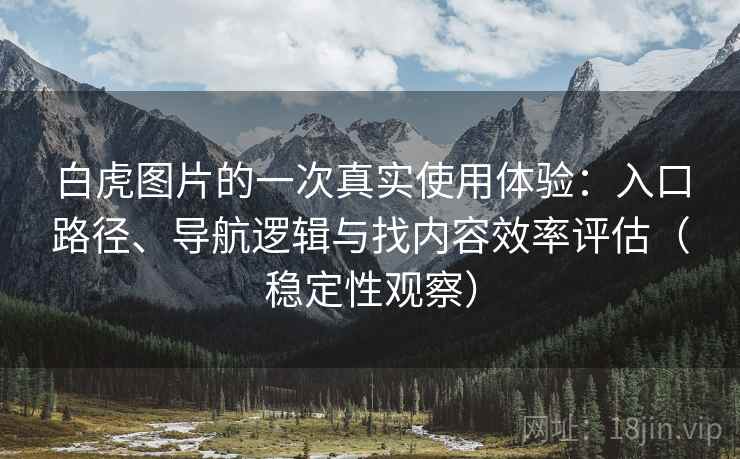 白虎图片的一次真实使用体验：入口路径、导航逻辑与找内容效率评估（稳定性观察）