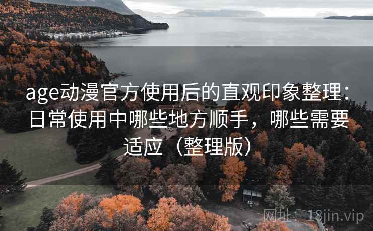 age动漫官方使用后的直观印象整理：日常使用中哪些地方顺手，哪些需要适应（整理版）