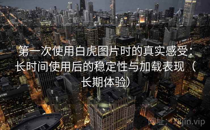 第一次使用白虎图片时的真实感受：长时间使用后的稳定性与加载表现（长期体验）