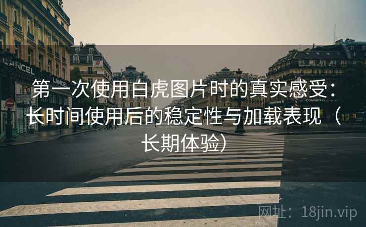 第一次使用白虎图片时的真实感受：长时间使用后的稳定性与加载表现（长期体验）