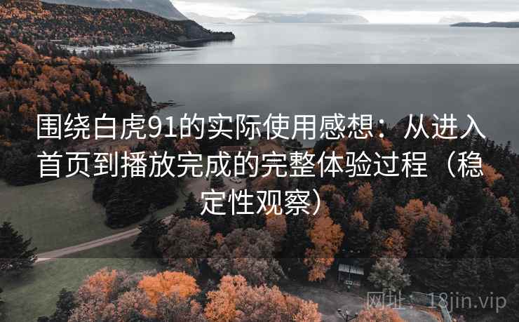 围绕白虎91的实际使用感想：从进入首页到播放完成的完整体验过程（稳定性观察）