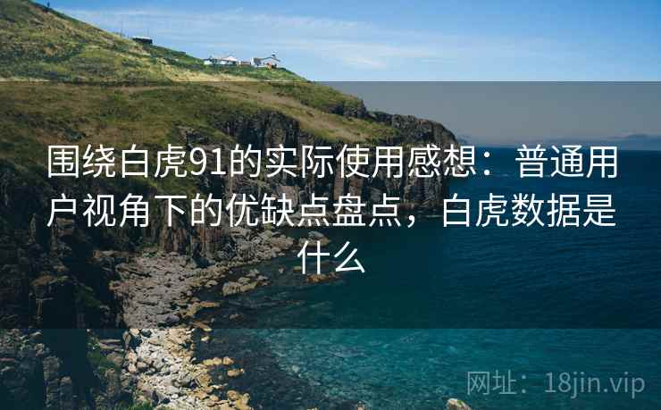 围绕白虎91的实际使用感想：普通用户视角下的优缺点盘点，白虎数据是什么