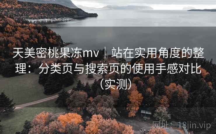 天美密桃果冻mv｜站在实用角度的整理：分类页与搜索页的使用手感对比（实测）