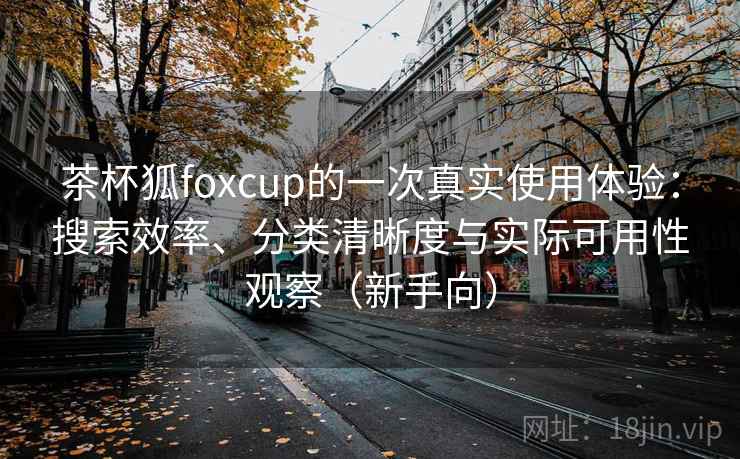 茶杯狐foxcup的一次真实使用体验：搜索效率、分类清晰度与实际可用性观察（新手向）