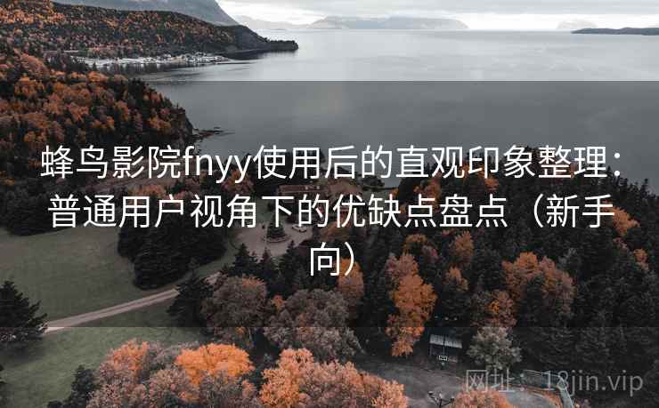 蜂鸟影院fnyy使用后的直观印象整理：普通用户视角下的优缺点盘点（新手向）