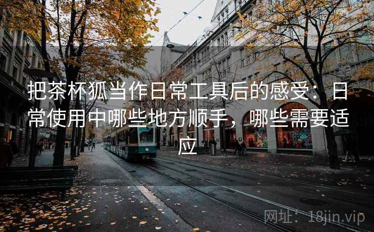 把茶杯狐当作日常工具后的感受：日常使用中哪些地方顺手，哪些需要适应