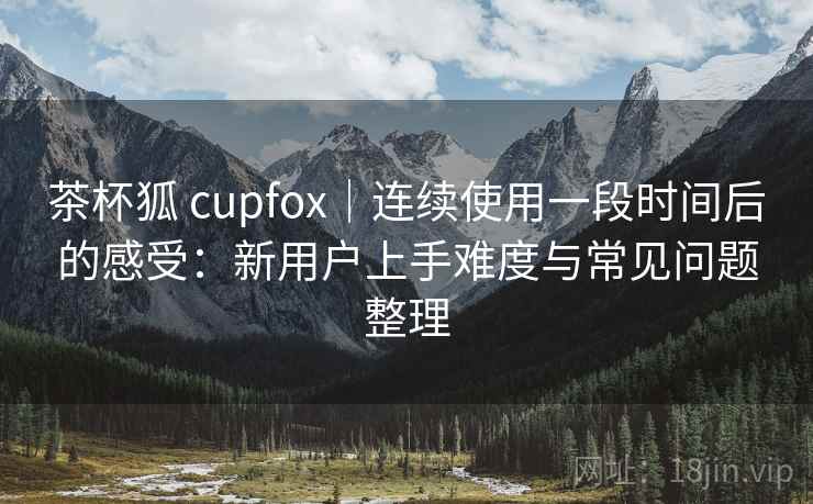 茶杯狐 cupfox｜连续使用一段时间后的感受：新用户上手难度与常见问题整理